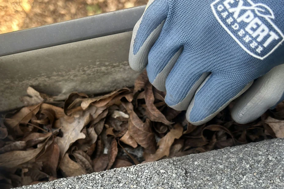 Gutter Cleaning Harleyville