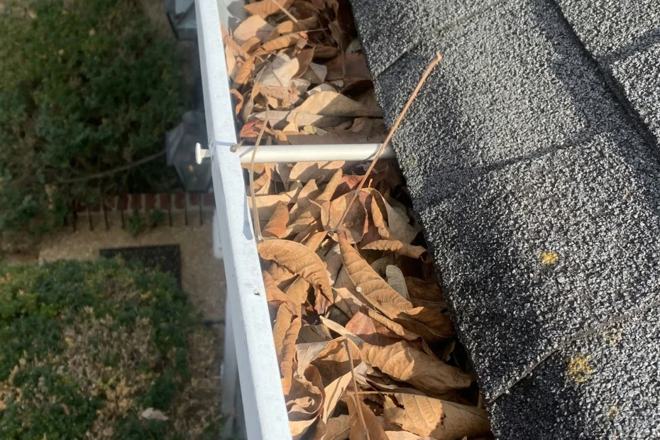 Gutter Cleaning Harleyville